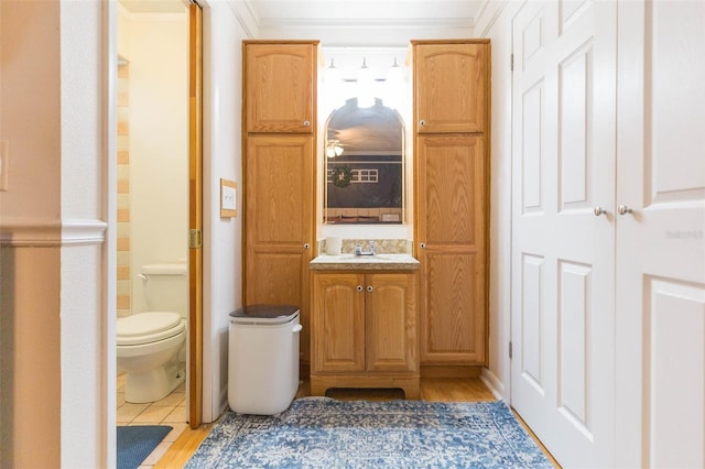 bathroom with vanity, wood finished floors, and toilet
