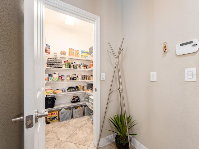 311 Vista Cruiser Ln, Oldsmar, FL 34677 - view of storage area