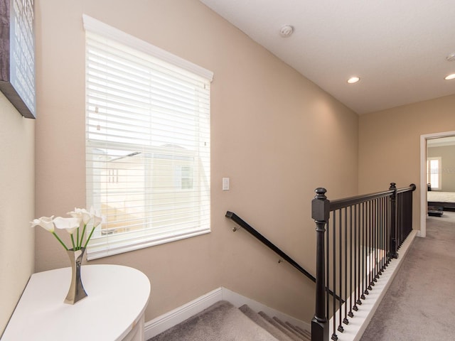 311 Vista Cruiser Ln, Oldsmar, FL 34677 - staircase with carpet floors, recessed lighting, and baseboards
