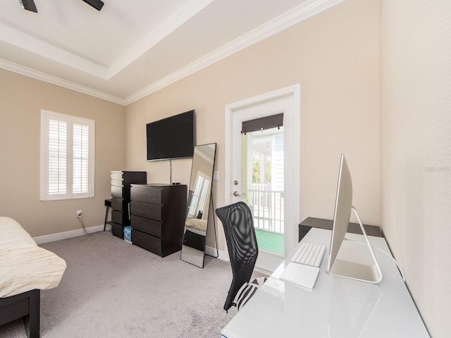 311 Vista Cruiser Ln, Oldsmar, FL 34677 - office area with plenty of natural light, light colored carpet, crown molding, a raised ceiling, and baseboards
