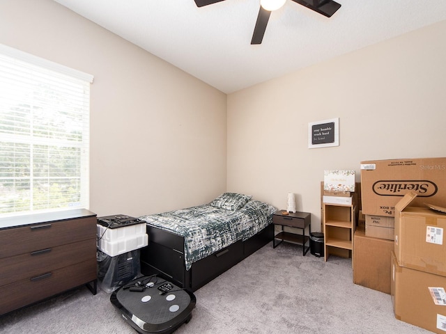 311 Vista Cruiser Ln, Oldsmar, FL 34677 - bedroom featuring carpet flooring, multiple windows, and ceiling fan