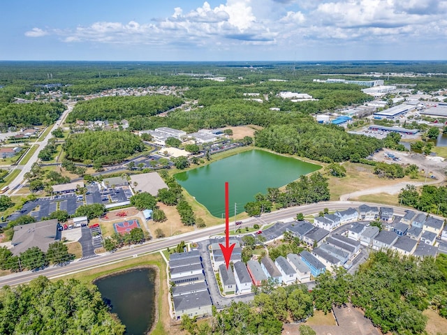 311 Vista Cruiser Ln, Oldsmar, FL 34677 - bird's eye view of a large body of water