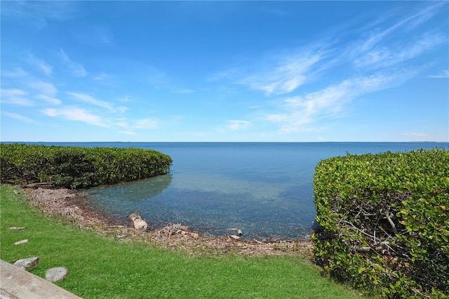 433 Mariner Dr Unit 433, Tarpon Springs, FL 34689 - water view