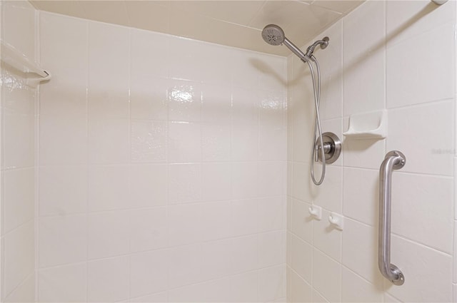 433 Mariner Dr Unit 433, Tarpon Springs, FL 34689 - details with tiled shower