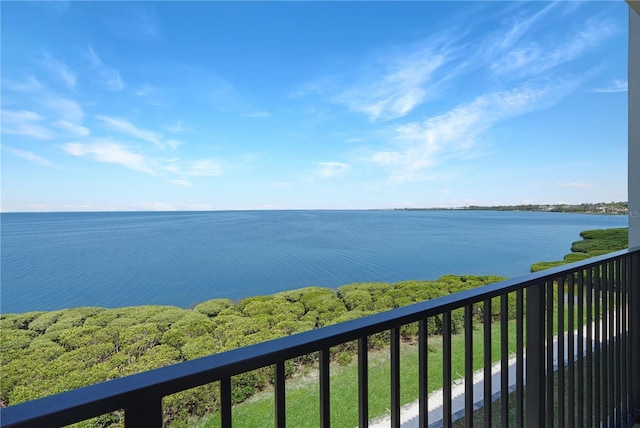 433 Mariner Dr Unit 433, Tarpon Springs, FL 34689 - view of water feature