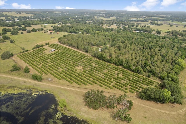 0 Barry Rd, Dade City, FL 33523 - photo 3