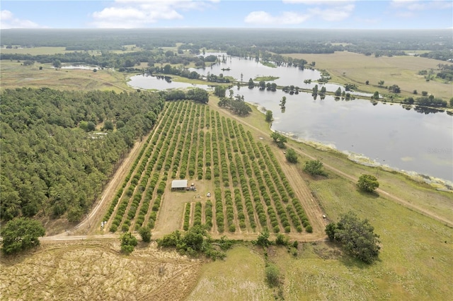 0 Barry Rd, Dade City, FL 33523 - photo 4