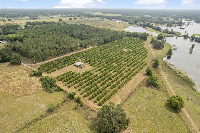 0 Barry Rd, Dade City, FL 33523 - photo 8