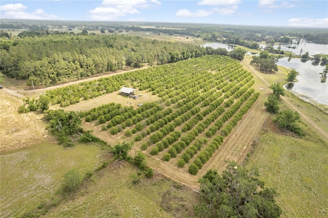 0 Barry Rd, Dade City, FL 33523 - photo 10