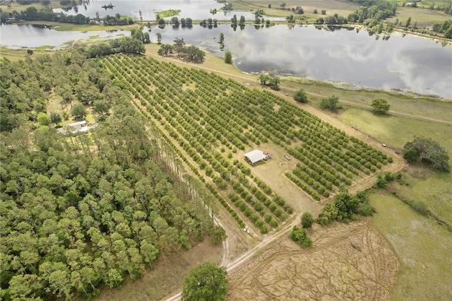 0 Barry Rd, Dade City, FL 33523 - photo 11