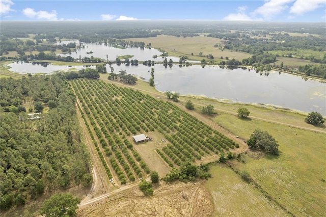 0 Barry Rd, Dade City, FL 33523 - photo 12