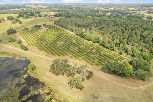 0 Barry Rd, Dade City, FL 33523 - photo 17