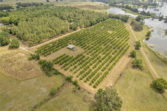 0 Barry Rd, Dade City, FL 33523 - photo 19