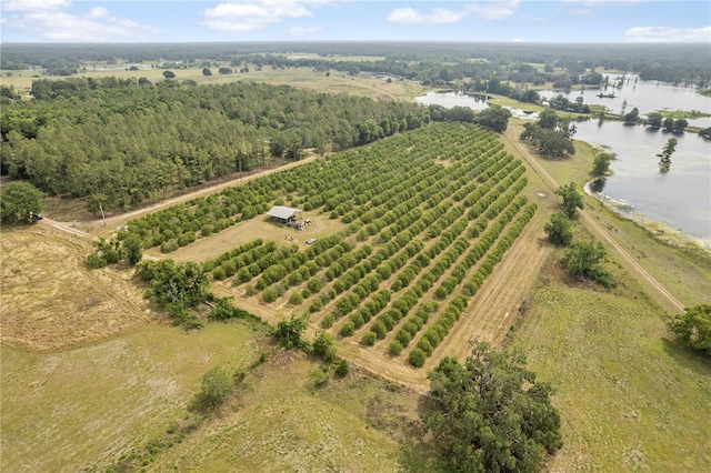 0 Barry Rd, Dade City, FL 33523 - photo 20