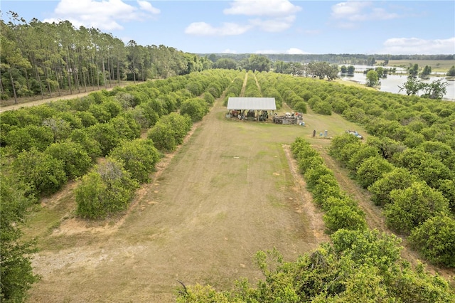 0 Barry Rd, Dade City, FL 33523 - photo 21