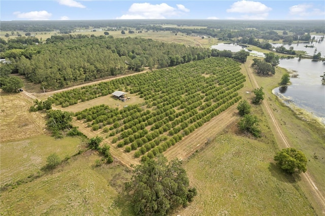 0 Barry Rd, Dade City, FL 33523 - photo 22