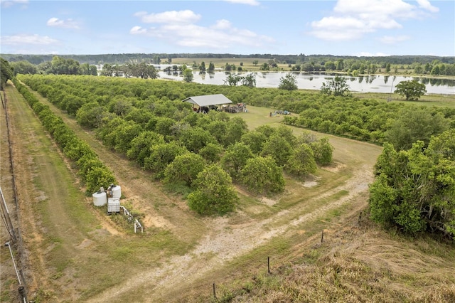 0 Barry Rd, Dade City, FL 33523 - photo 27