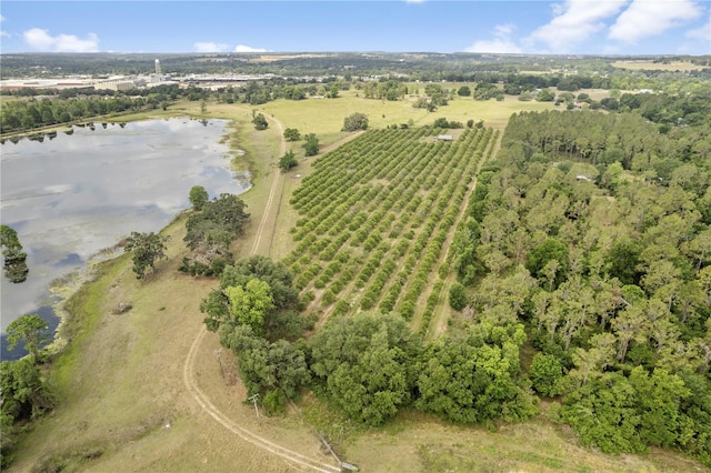 0 Barry Rd, Dade City, FL 33523 - photo 29