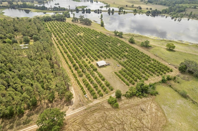 0 Barry Rd, Dade City, FL 33523 - photo 31