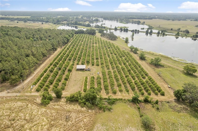 0 Barry Rd, Dade City, FL 33523 - photo 33