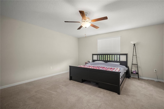 1823 Moon Cactus Ct, Ruskin, FL 33570 - photo 11