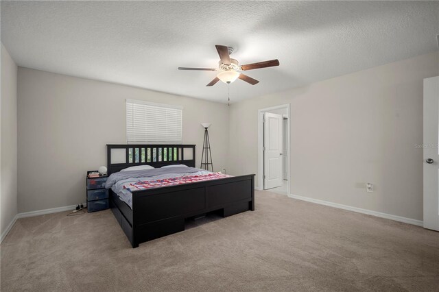 1823 Moon Cactus Ct, Ruskin, FL 33570 - photo 12