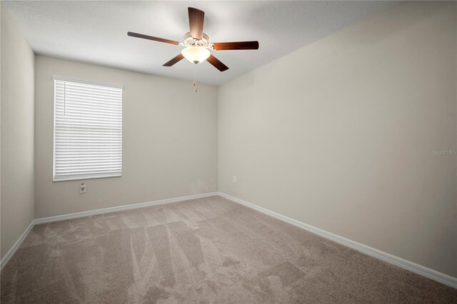 1823 Moon Cactus Ct, Ruskin, FL 33570 - photo 23