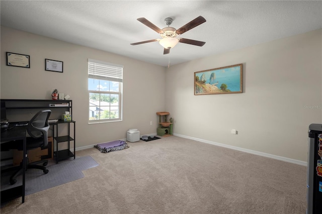 1823 Moon Cactus Ct, Ruskin, FL 33570 - photo 25