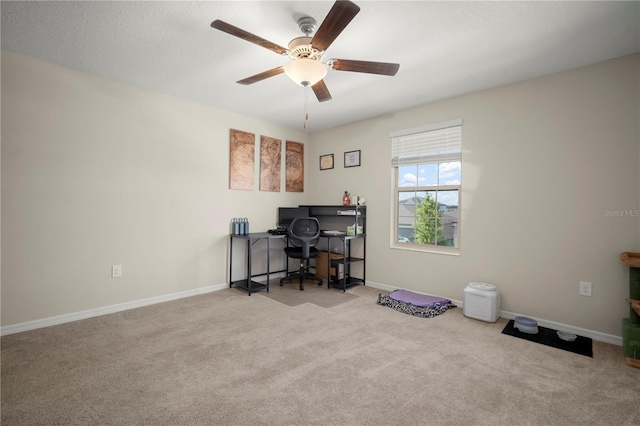 1823 Moon Cactus Ct, Ruskin, FL 33570 - photo 26