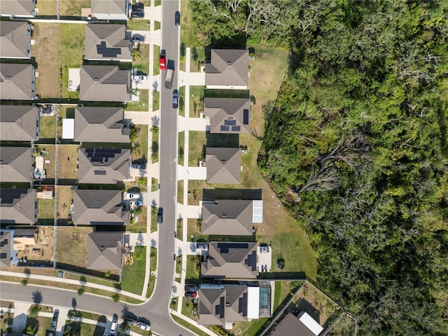 1823 Moon Cactus Ct, Ruskin, FL 33570 - photo 45