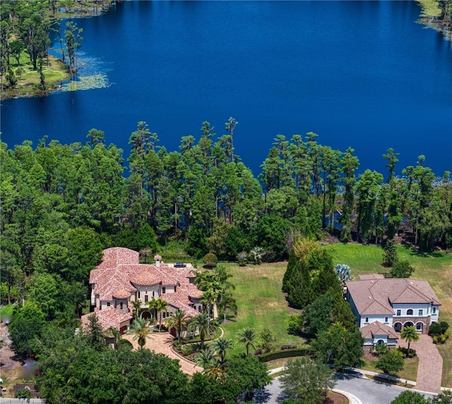 1102 Merry Water Dr, Lutz, FL 33548 - drone / aerial view with a water view