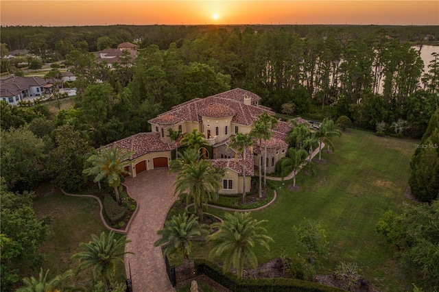 1102 Merry Water Dr, Lutz, FL 33548 - bird's eye view with a wooded view
