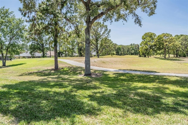 view of home's community with a lawn