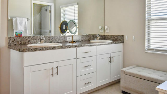 bathroom featuring a sink, plenty of natural light, and double vanity