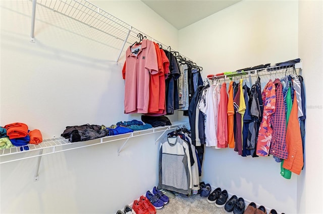 13071 Willow Grove Dr, Riverview, FL 33579 - walk in closet featuring carpet flooring