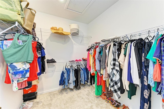 13071 Willow Grove Dr, Riverview, FL 33579 - walk in closet featuring carpet flooring and attic access