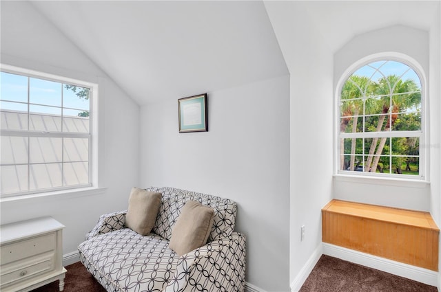 16470 Oakview Cir, Alva, FL 33920 - sitting room featuring lofted ceiling, carpet, and baseboards