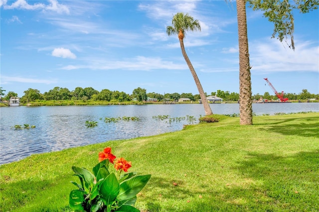 16470 Oakview Cir, Alva, FL 33920 - view of water feature