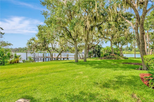 16470 Oakview Cir, Alva, FL 33920 - view of yard with a dock and a water view