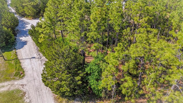 5631 S Atlantis Way, Homosassa, FL 34446
