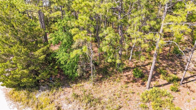 5631 S Atlantis Way, Homosassa, FL 34446