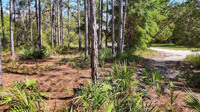 5631 S Atlantis Way, Homosassa, FL 34446
