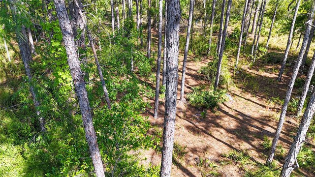 5631 S Atlantis Way, Homosassa, FL 34446