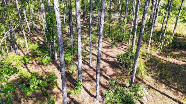 5631 S Atlantis Way, Homosassa, FL 34446