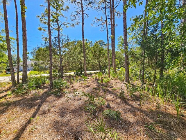 5631 S Atlantis Way, Homosassa, FL 34446