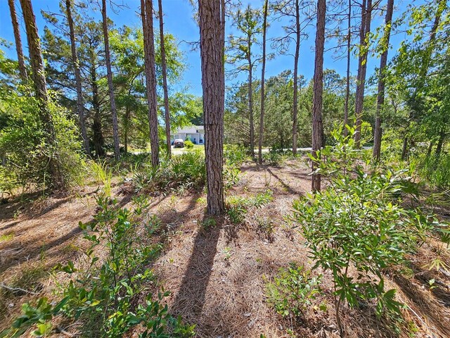 5631 S Atlantis Way, Homosassa, FL 34446