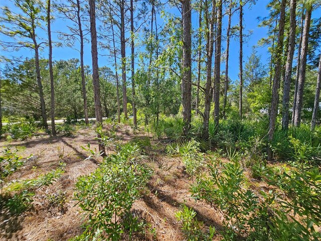 5631 S Atlantis Way, Homosassa, FL 34446