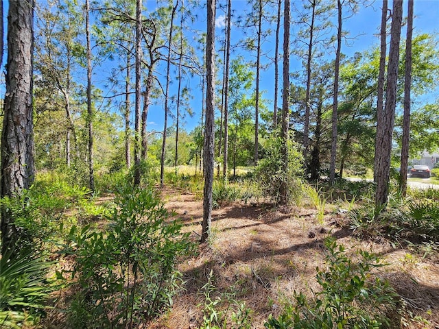 5631 S Atlantis Way, Homosassa, FL 34446
