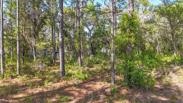 5631 S Atlantis Way, Homosassa, FL 34446