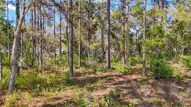 5631 S Atlantis Way, Homosassa, FL 34446
